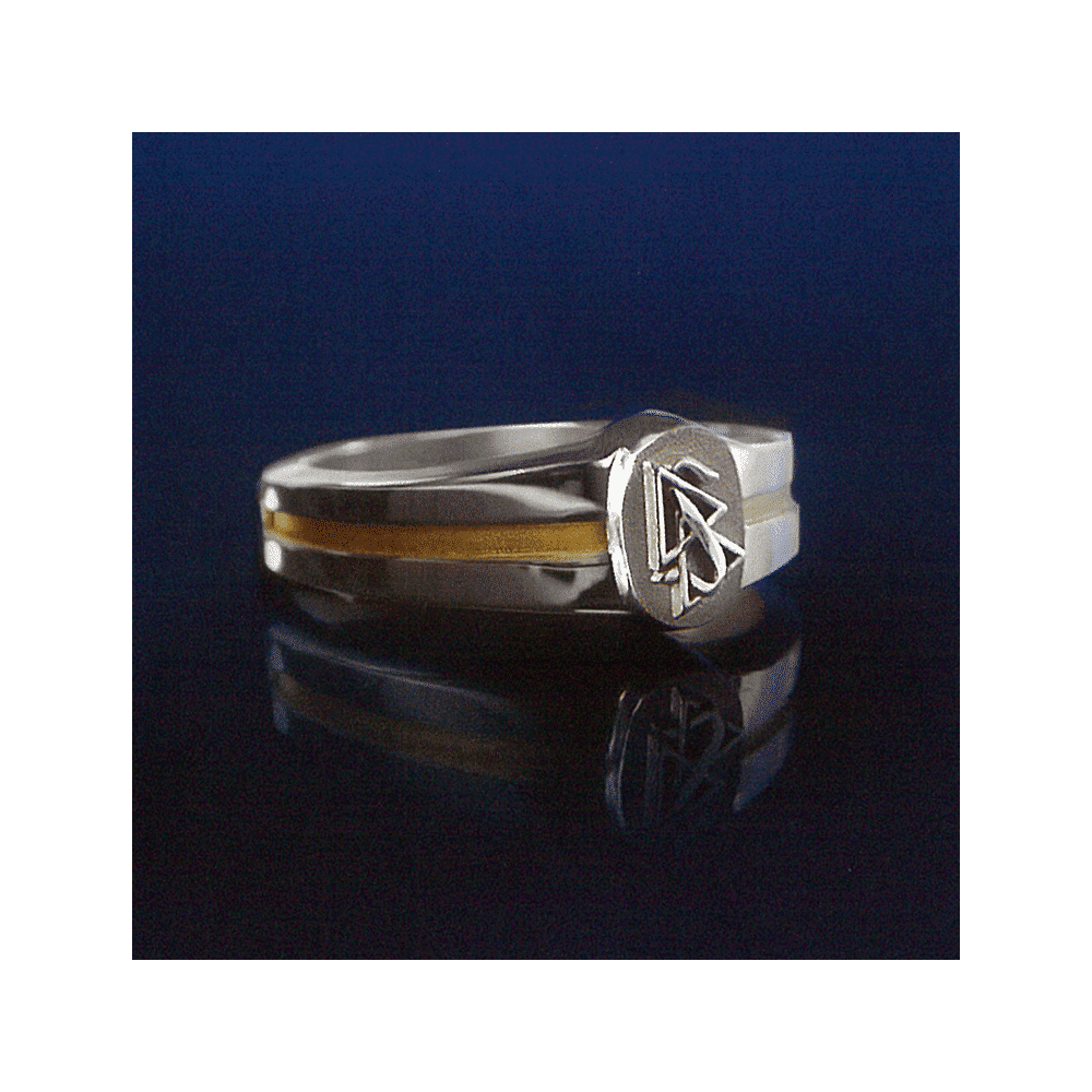 Ring-small-silver.png